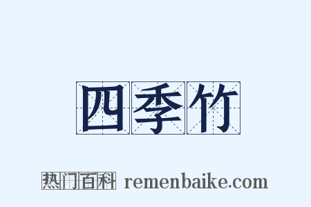 四季竹是什么意思的图片